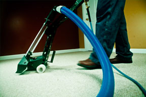 carpet cleaning